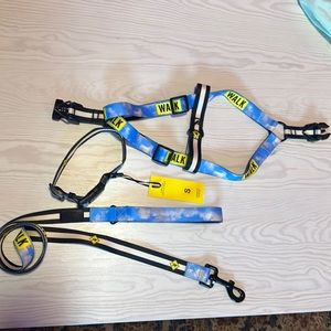 Saint Rue Collar, Leash, & Harness Set